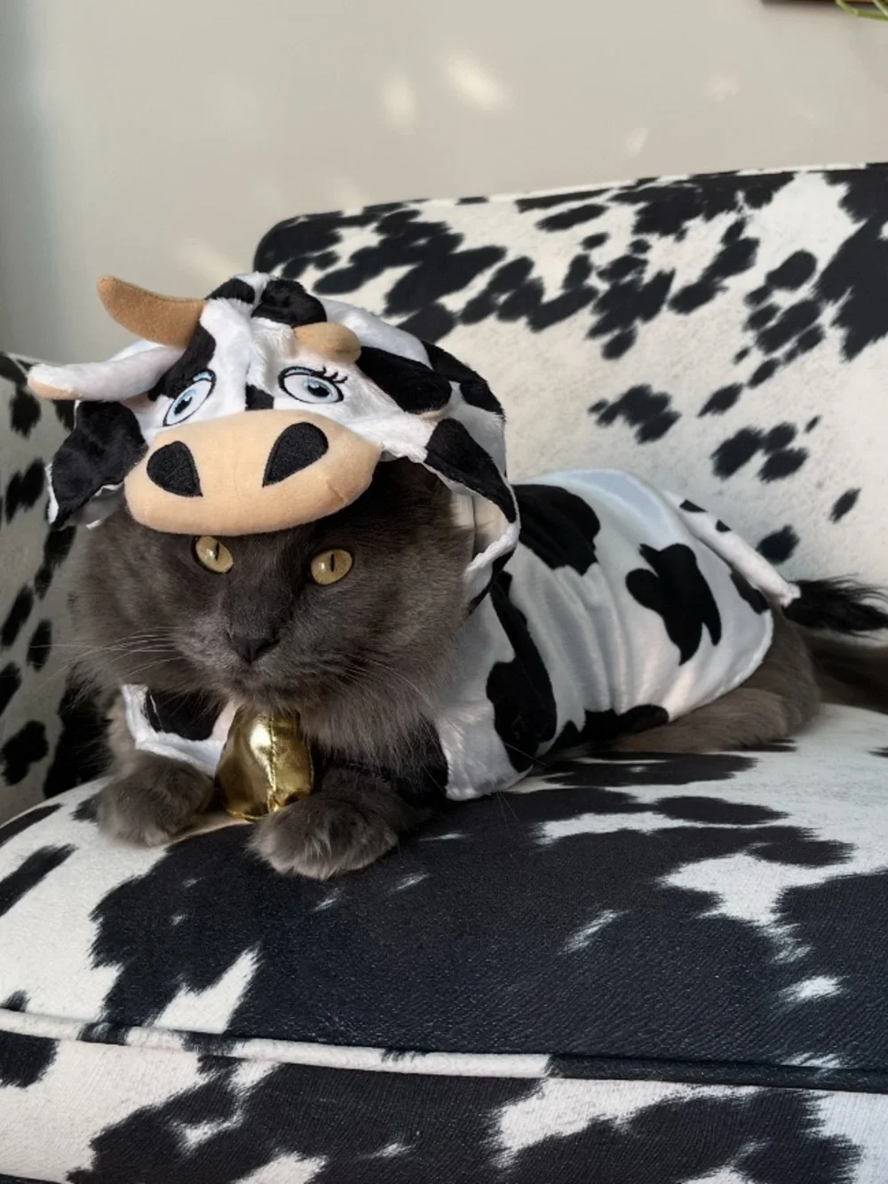 Cow Costume for Cat or Small Dog with Hood and Straps - Black & White